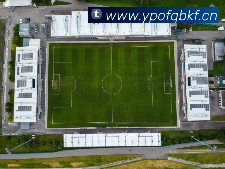 多媒体互动体验